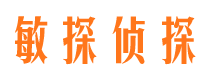 巴东侦探公司